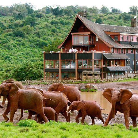 The Ark Lodge Nyeri Exterior photo